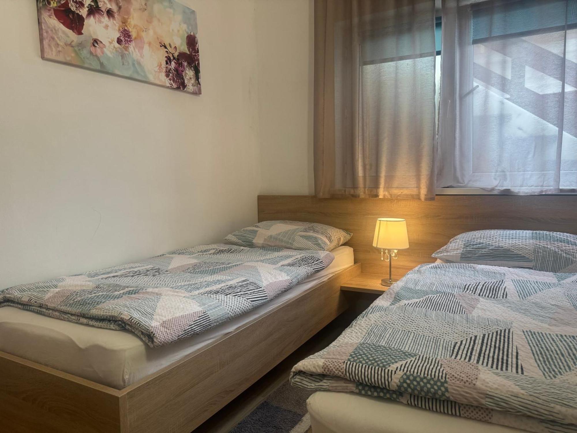 Apartments Zupan Шенчур Экстерьер фото