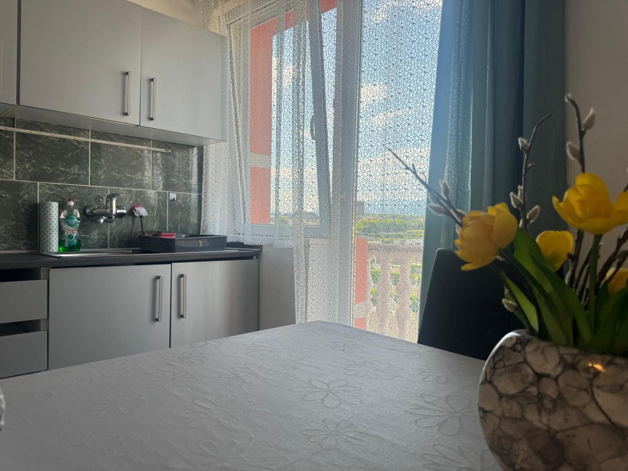 Apartments Zupan Шенчур Экстерьер фото