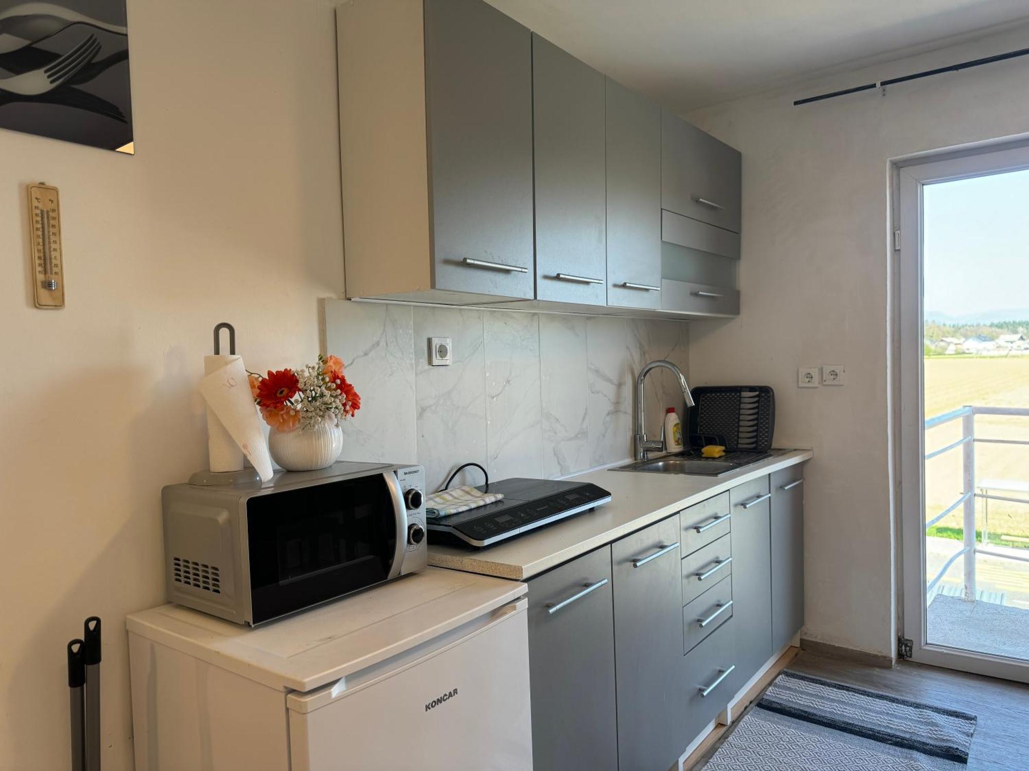 Apartments Zupan Шенчур Экстерьер фото